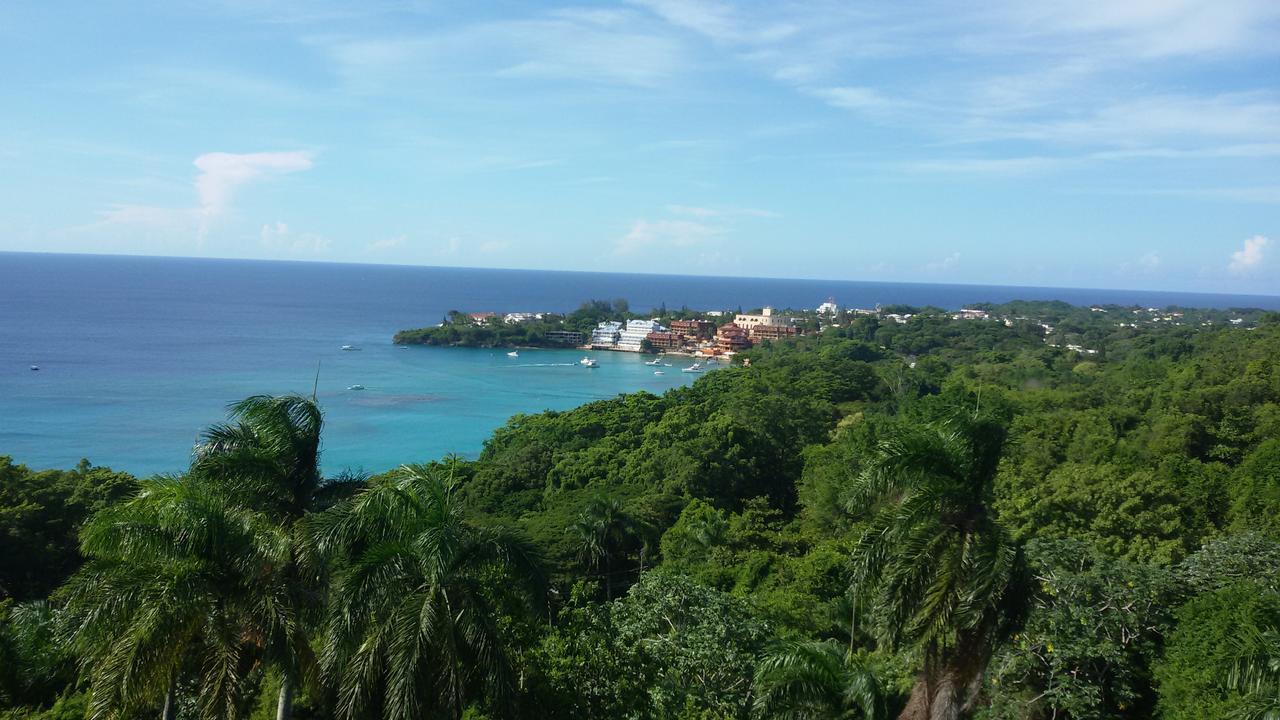 B&B El Mirador Al Mar Sosúa Eksteriør billede
